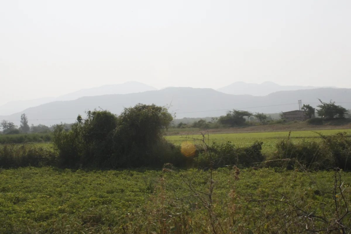 Devalia Savanna Waterhole Landscape